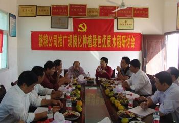 &ldquo;以糧為媒&ldquo;打造綠色大米產(chǎn)業(yè)鏈