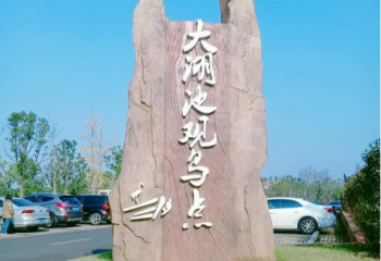 鄱陽(yáng)湖觀鳥