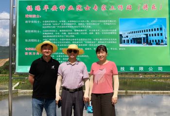 藍海軍副總經(jīng)理前往福瑞華安種業(yè)有限公司福建將樂基地參觀學習